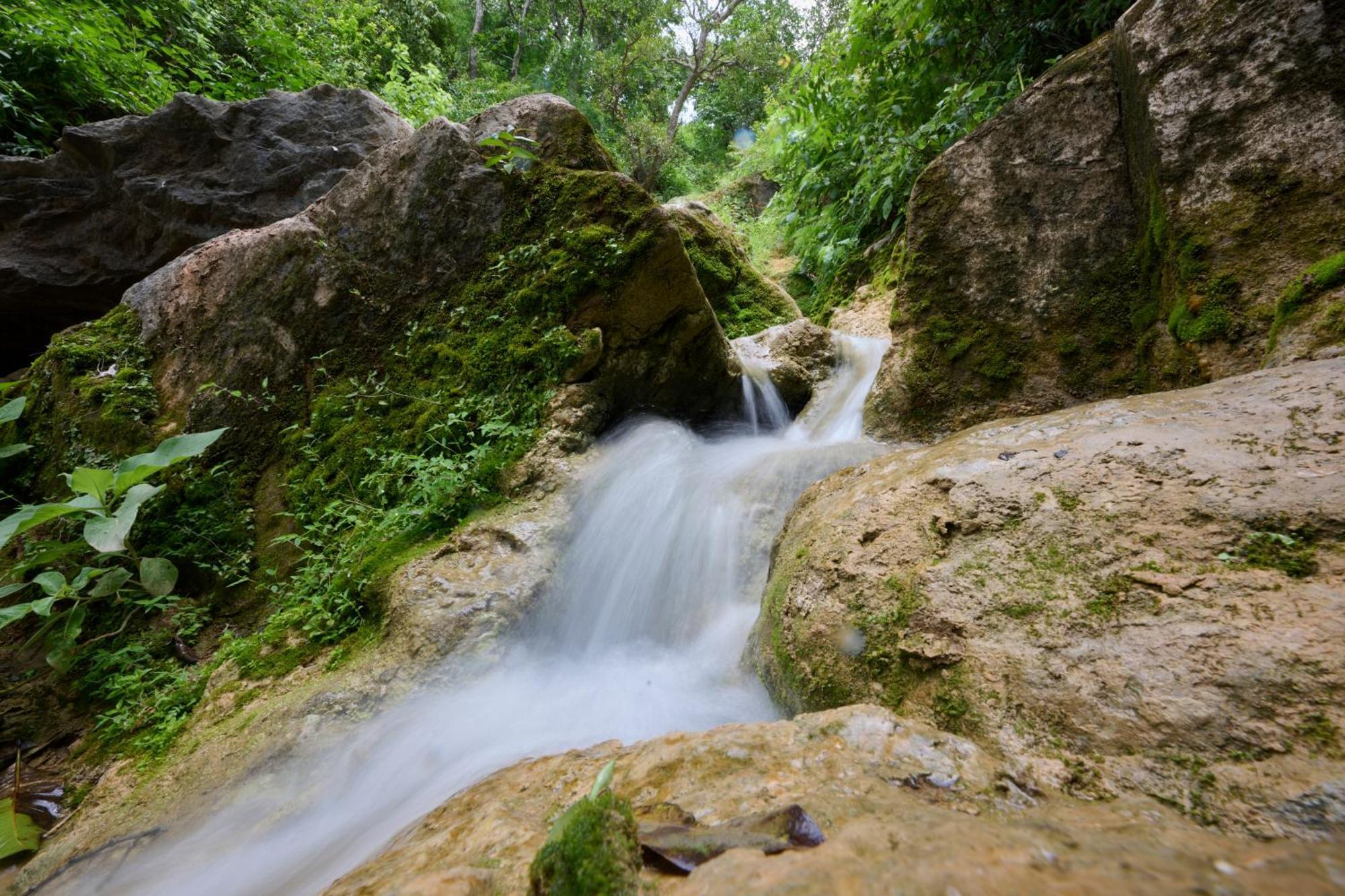 Renest Kumbhalgarh 호텔 외부 사진